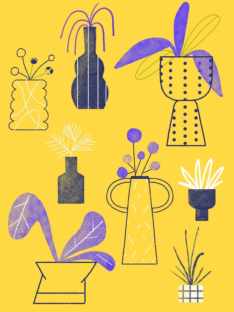 Plantes et Vases