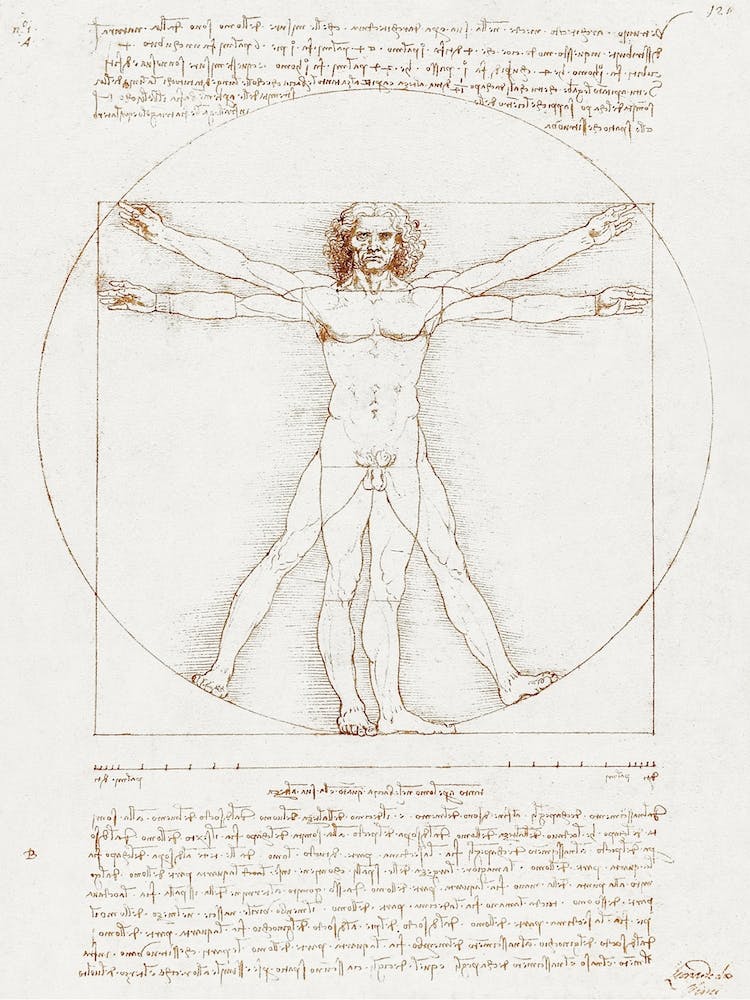 Vitruvian Man, Leonardo Da Vinci