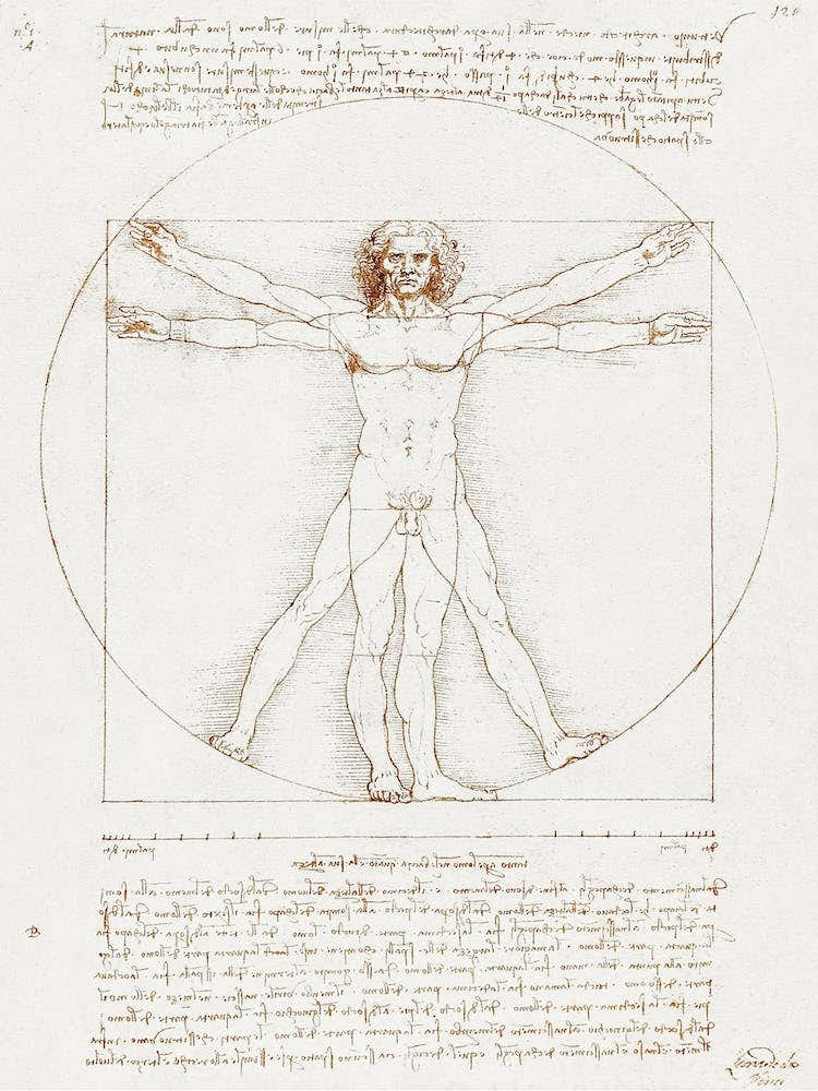 Vitruvian Man, Leonardo Da Vinci