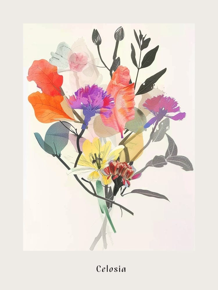 Celosia 2 Collage Flower Bouquet Poster