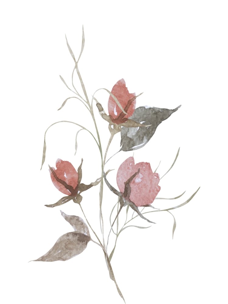 Pink Roses 2