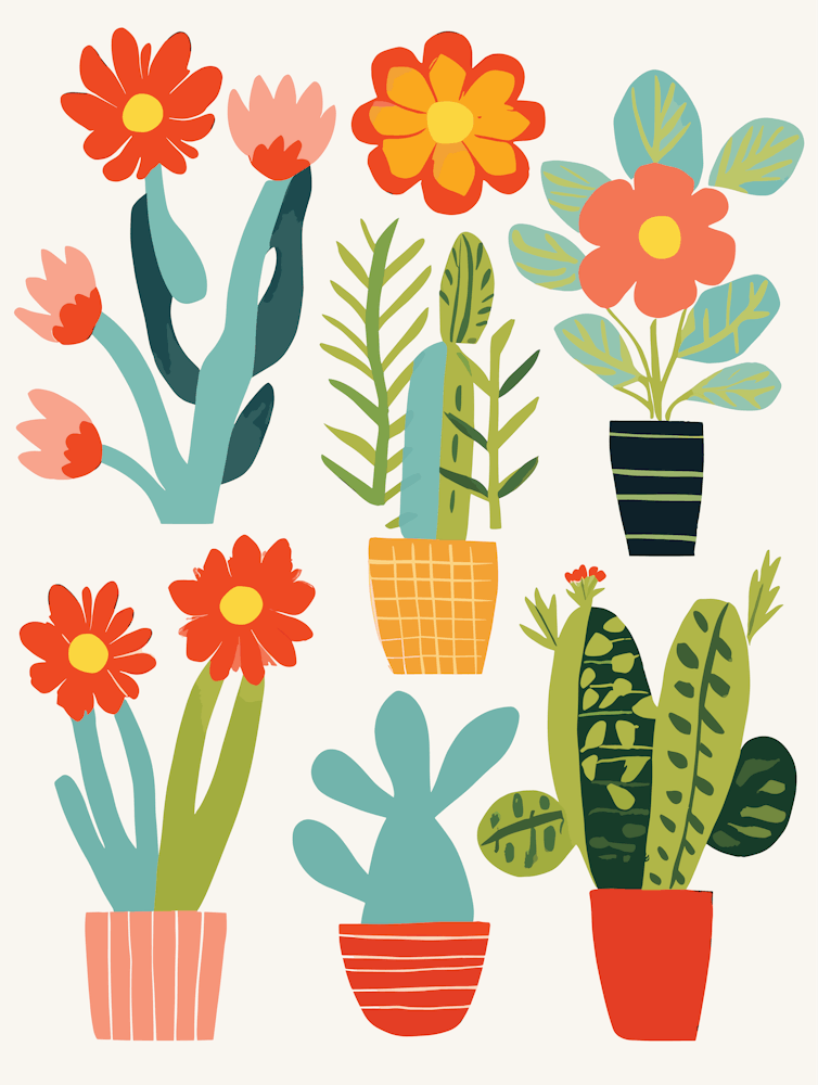 Cactus Plants In Pots
