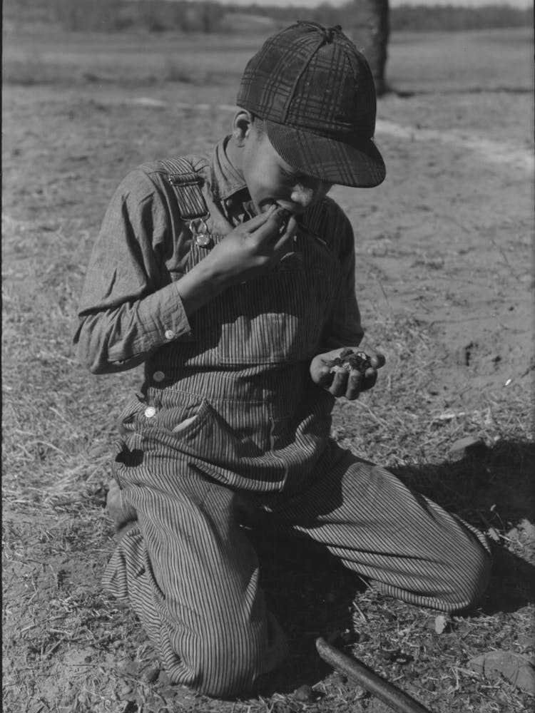 Son Of Pomp Hall, Tenant Farmer, Eating Walnuts Which Were Grown On Their Farm In Creek County, Oklahoma, See Gene