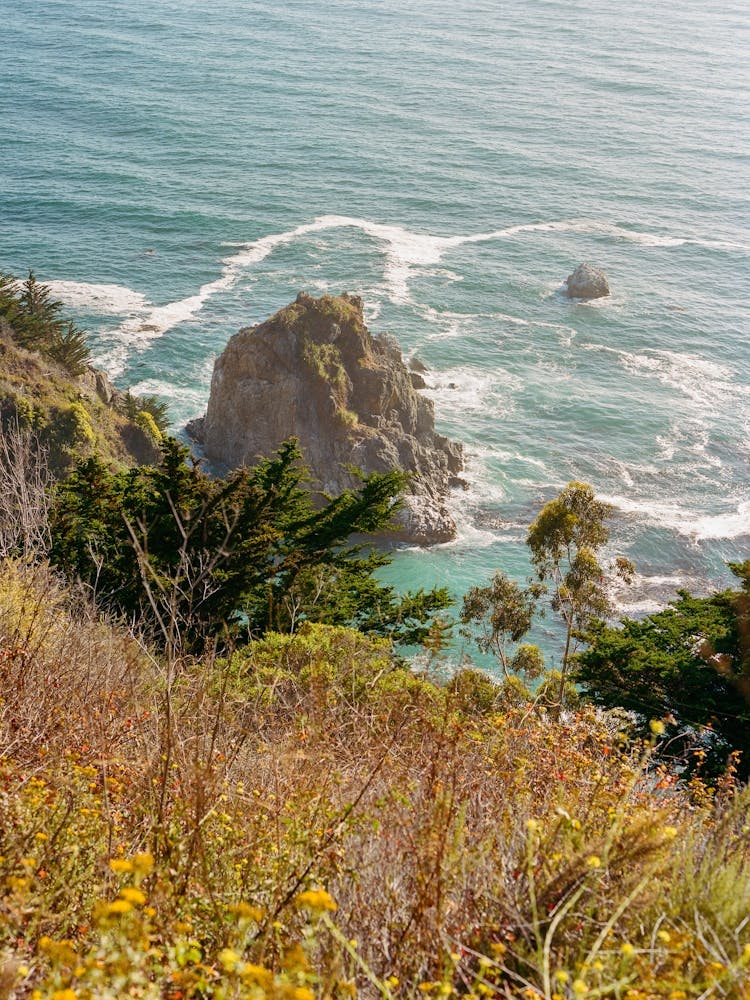 Big Sur V on Film