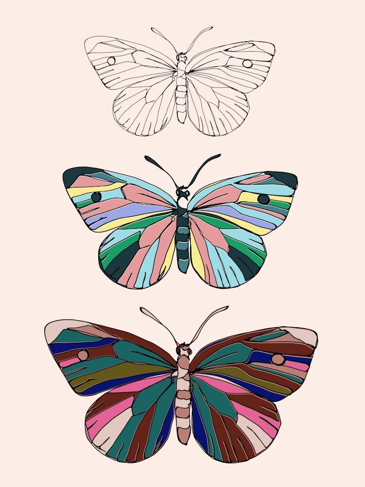 Three Butterflies