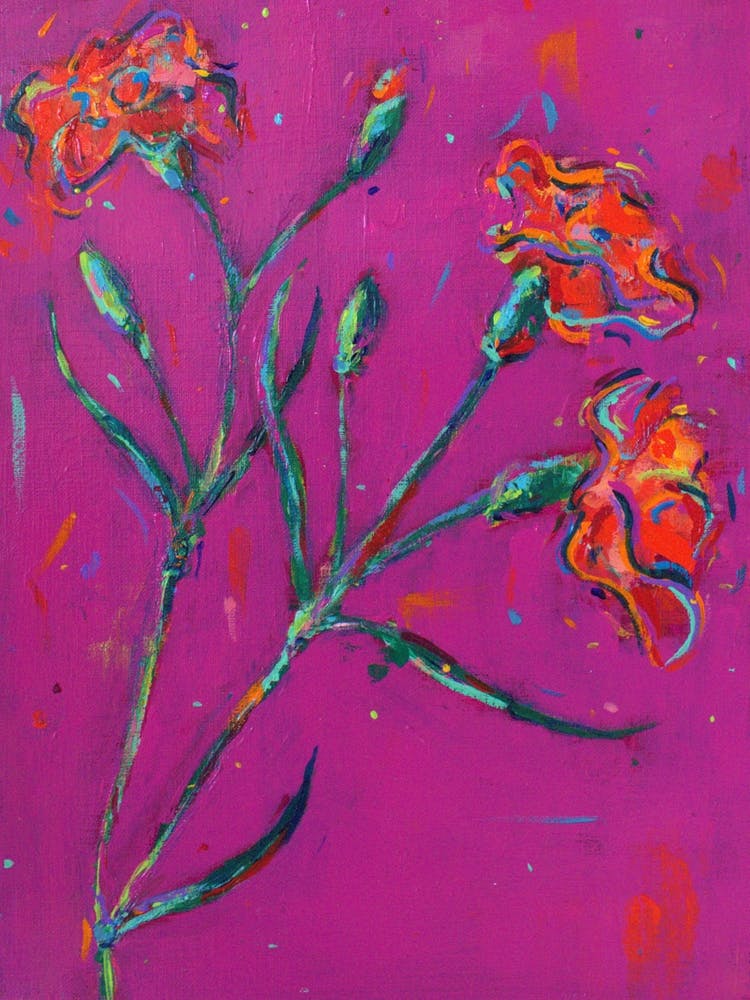 Orange Carnations In Pink