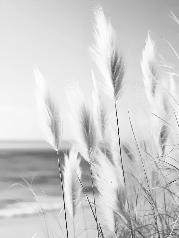 Grasses By The Sea