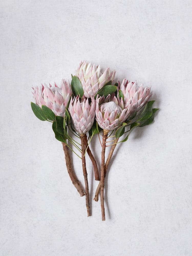 Pink Protea Bouquet