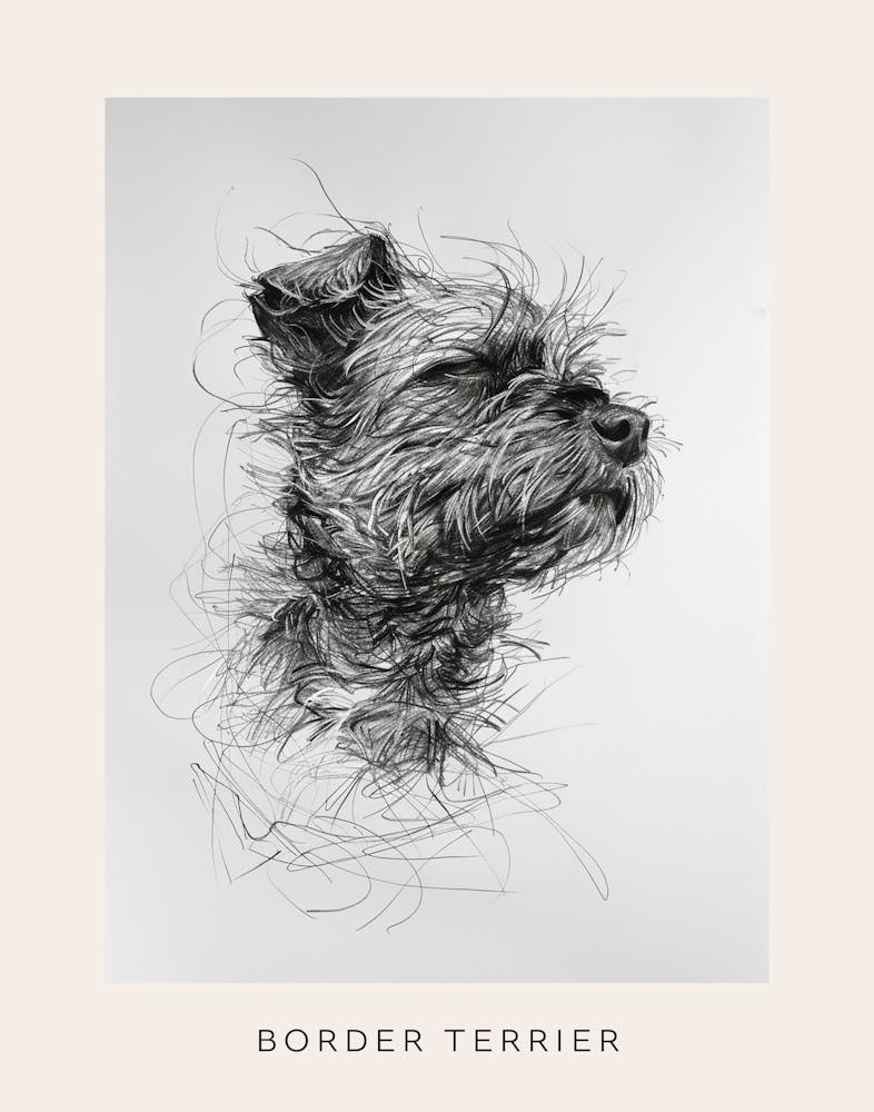 Border Terrier Dog Line Sketch 1 Poster
