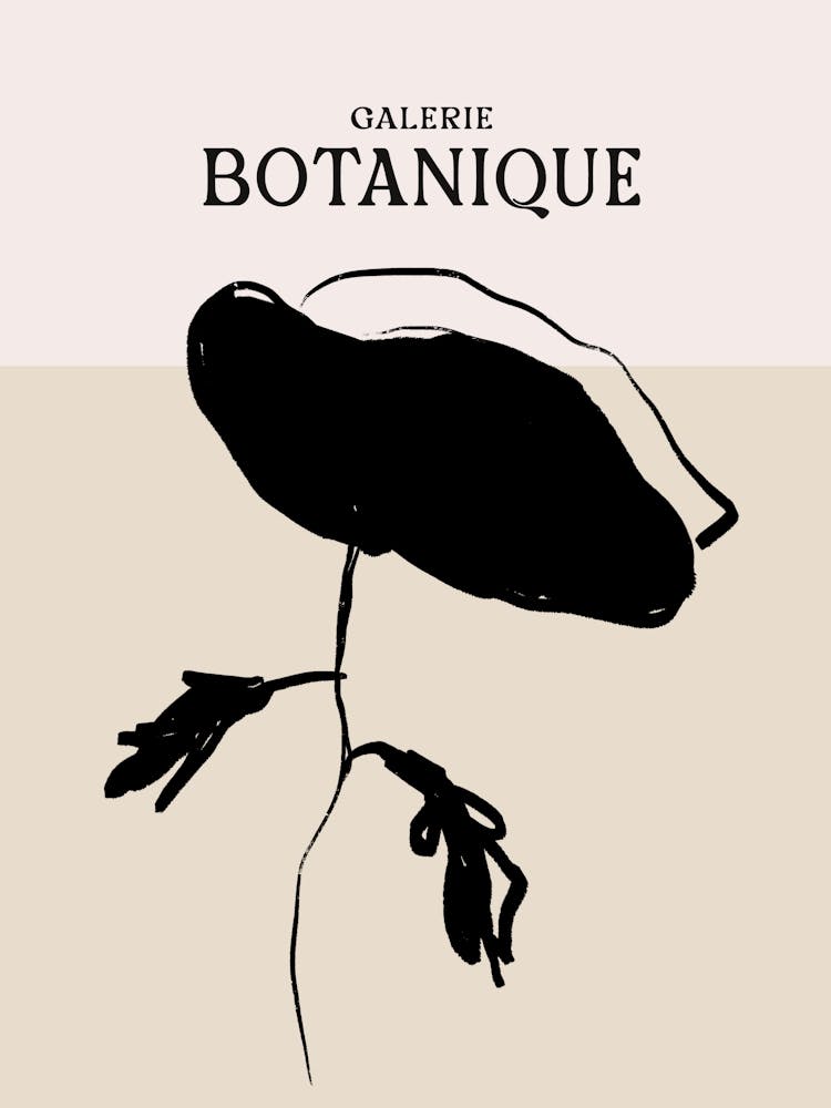Galerie botanique n° 1