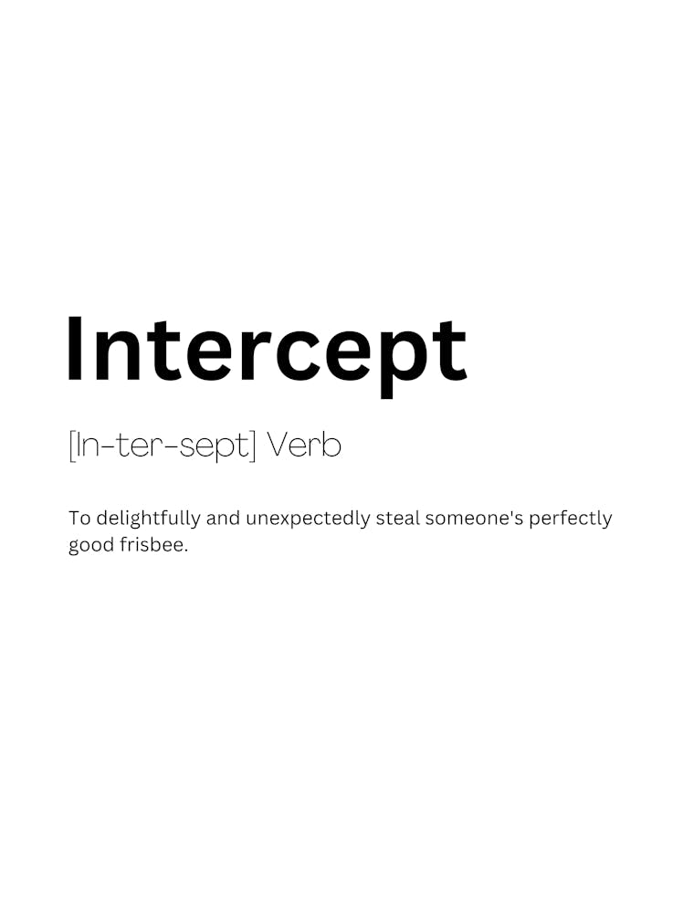 Intercept Definition Meaning 1