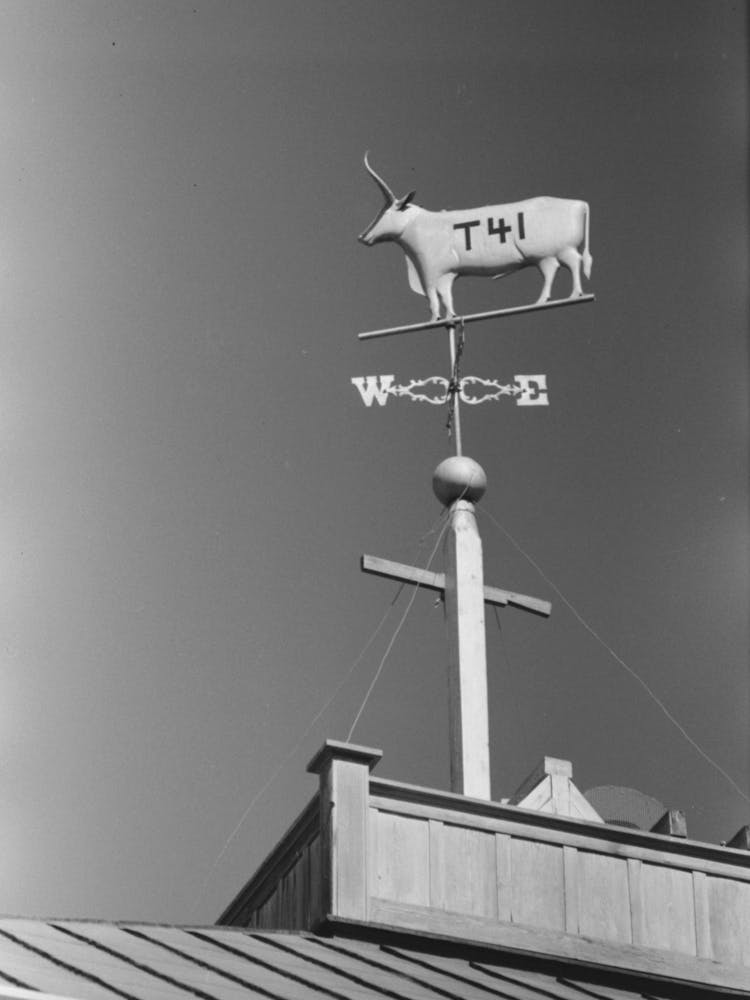 Weather Vane With Old Cattle Brand Belonging To Dan Houston, An Early Settler Of Gonzales County, Gonzales