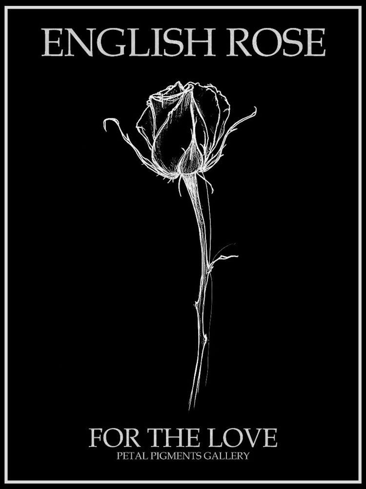 English Rose Black And White Line Drawing 29 Poster Inverted