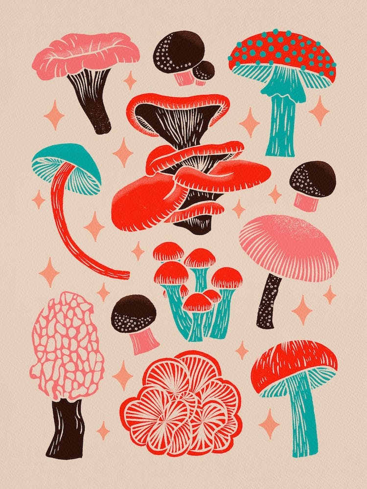 Texas Mushrooms   Red Pink And Turquoise