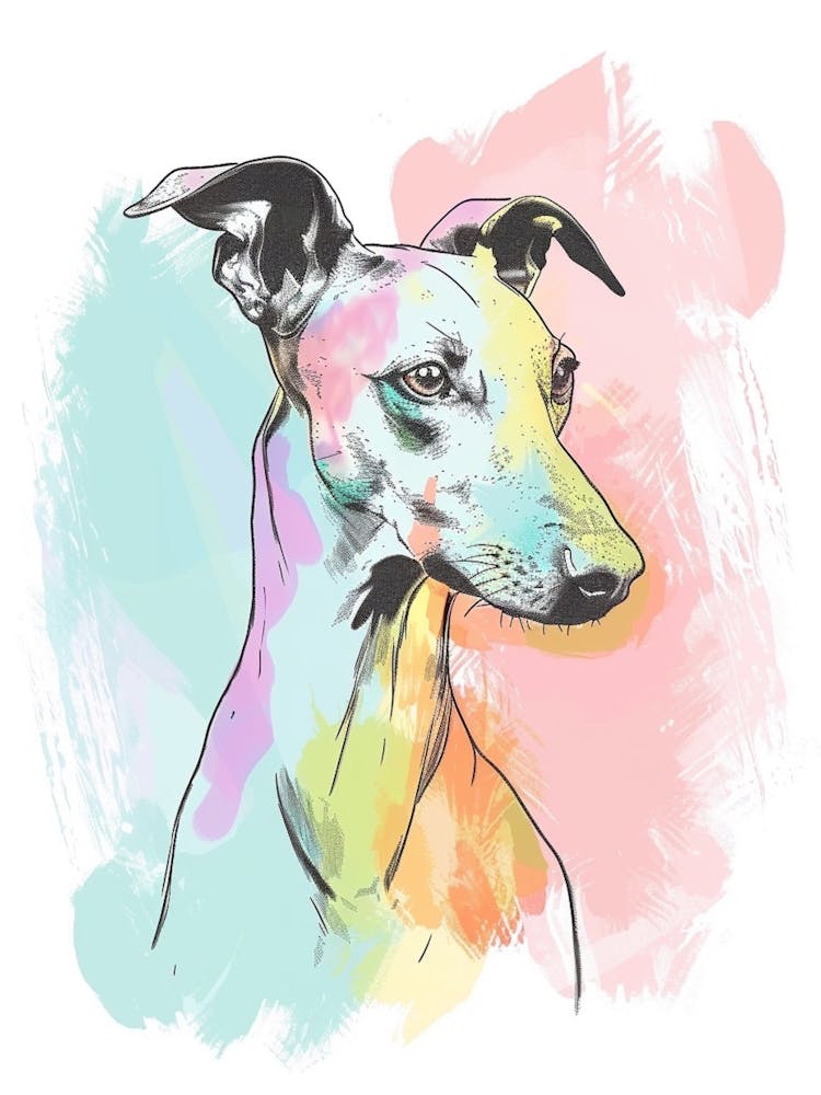 Pastel Greyhound Dog Line Illustration
