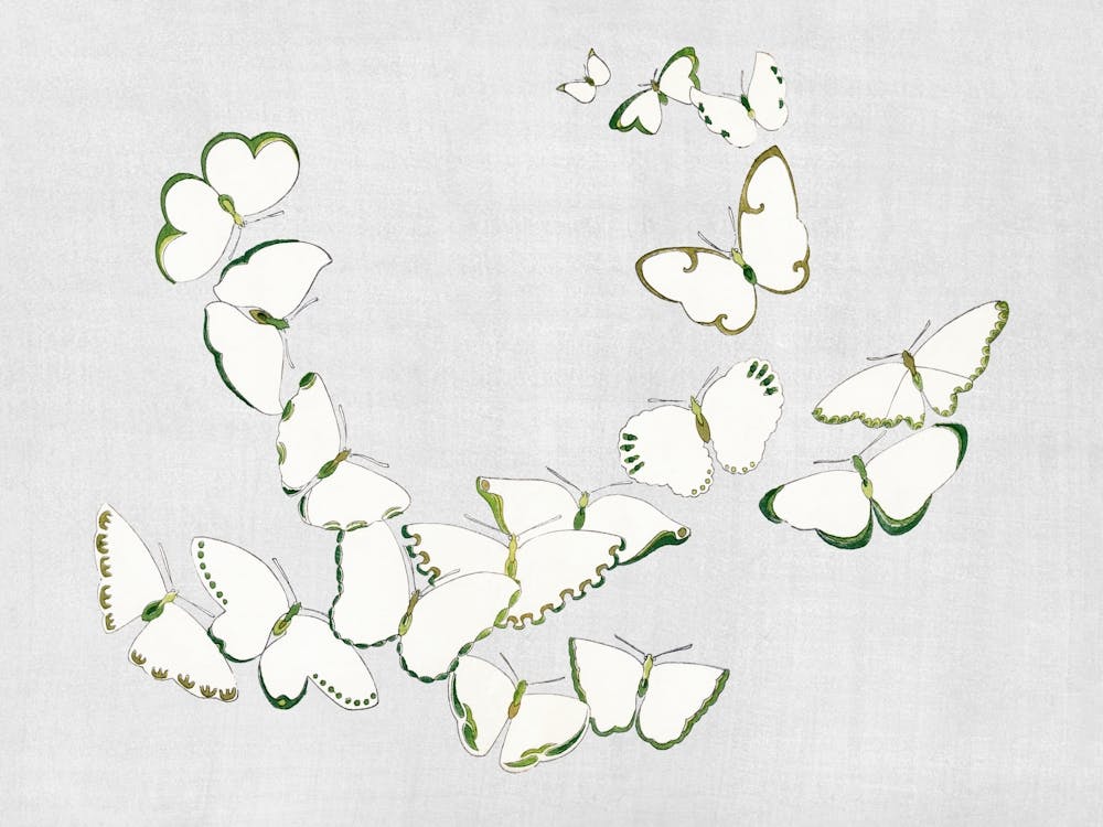 Japanese Butterfly, Kamisaka Sekka (2)