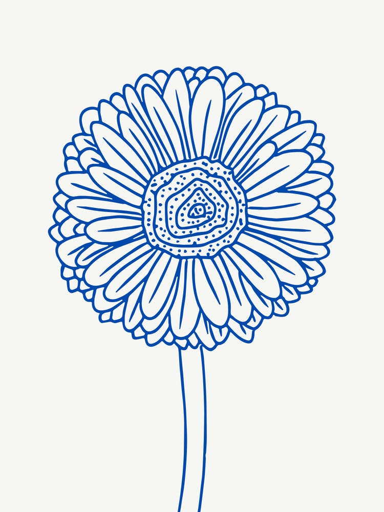 Gerbera Daisy Monoline Blue