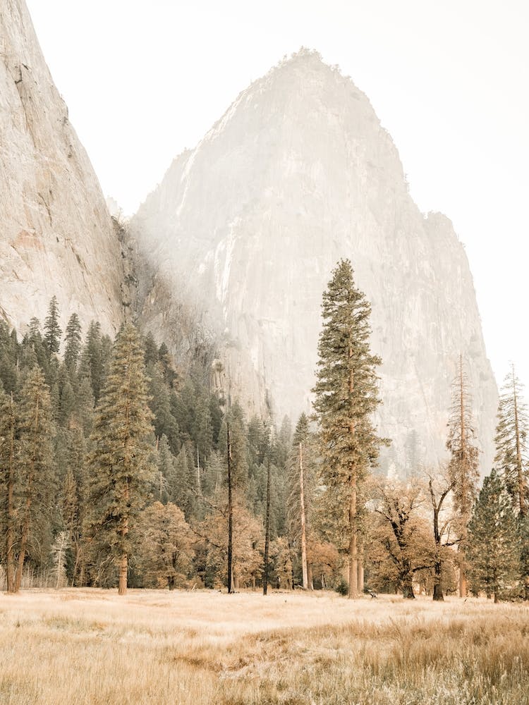 Paysage de Yosemite