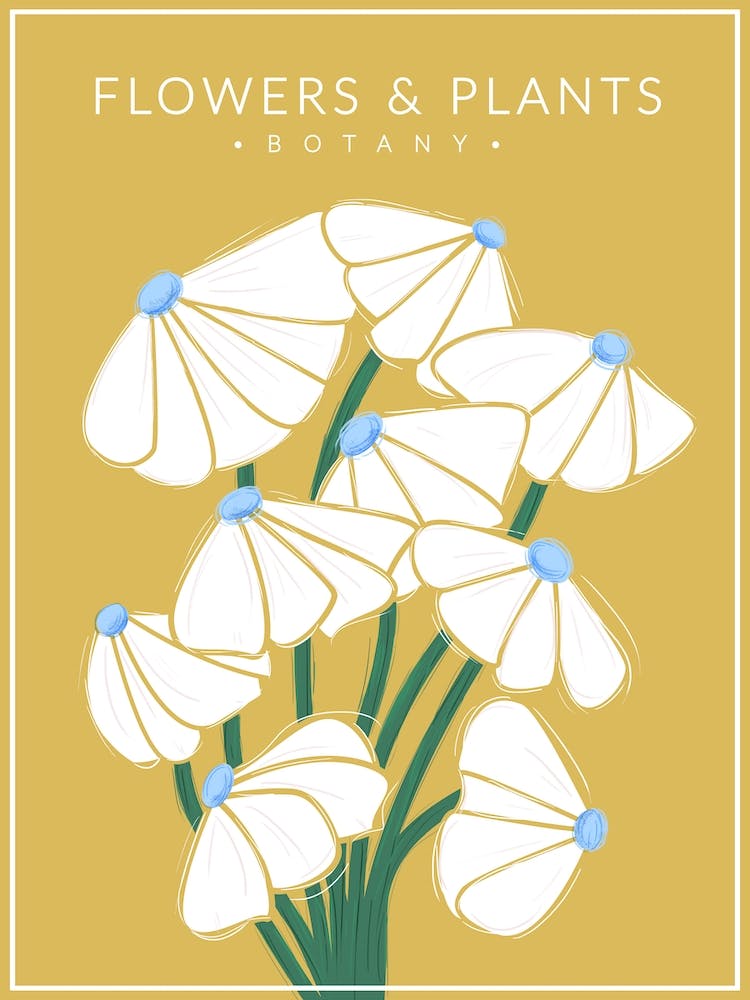 White Flowers Botany