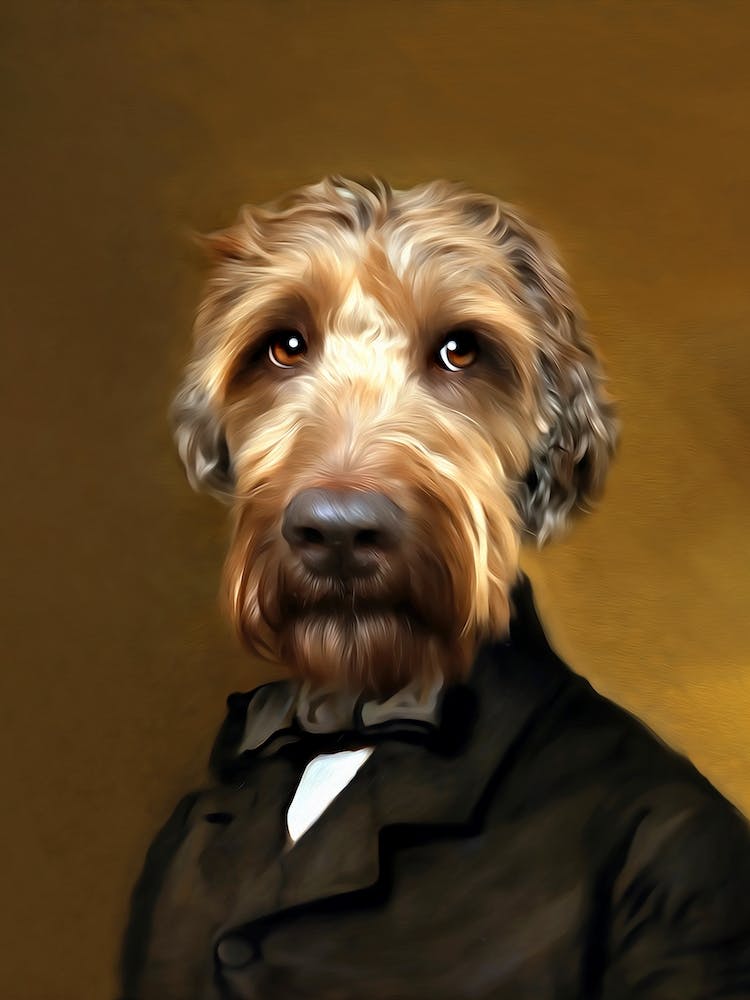 Gentle Ventje Mc Doodle Pet Portraits