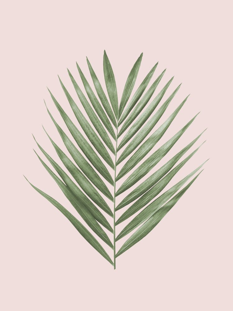 Harmonious floral composition 3