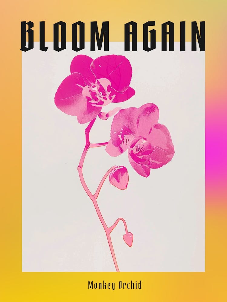Hot Pink Monkey Orchid 2 Poster
