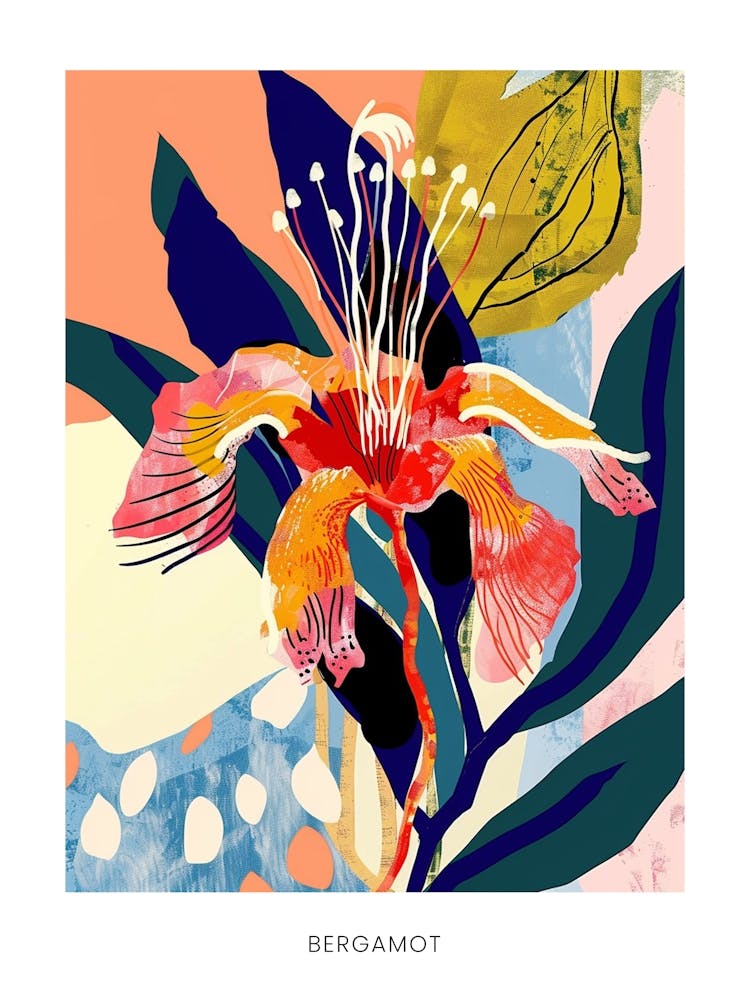 Colourful Flower Illustration Poster Bergamot 4