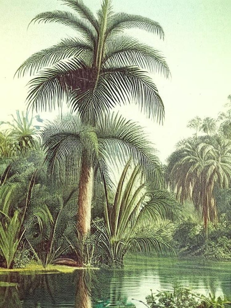 Pond Waterscape Vintage Illustration 1