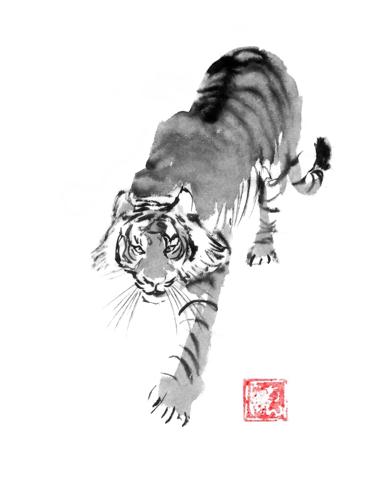 Tiger Walking 02