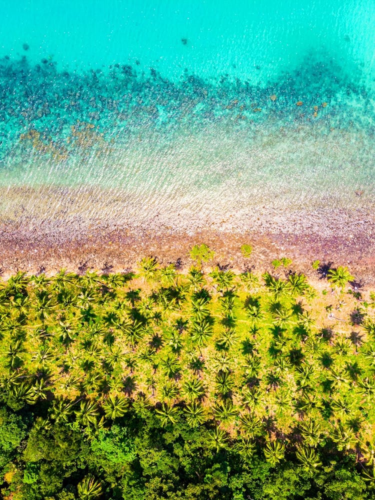 Grèce. Vue aérienne #2
