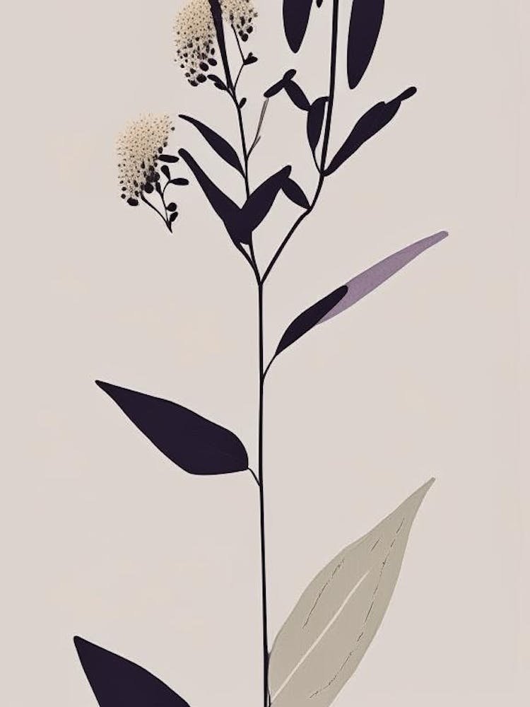 Butterfly Bush Wildflower Simplicity