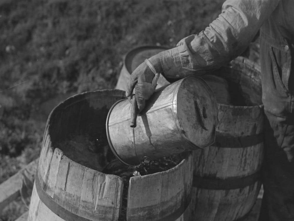 Filling Barrels With Spring Water To Be Used On His Farmstead, Herman Gerling,Wheelock, North Dakota By Russell Lee