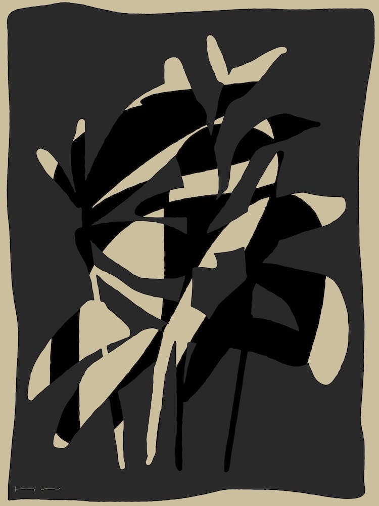 Paper Dawn