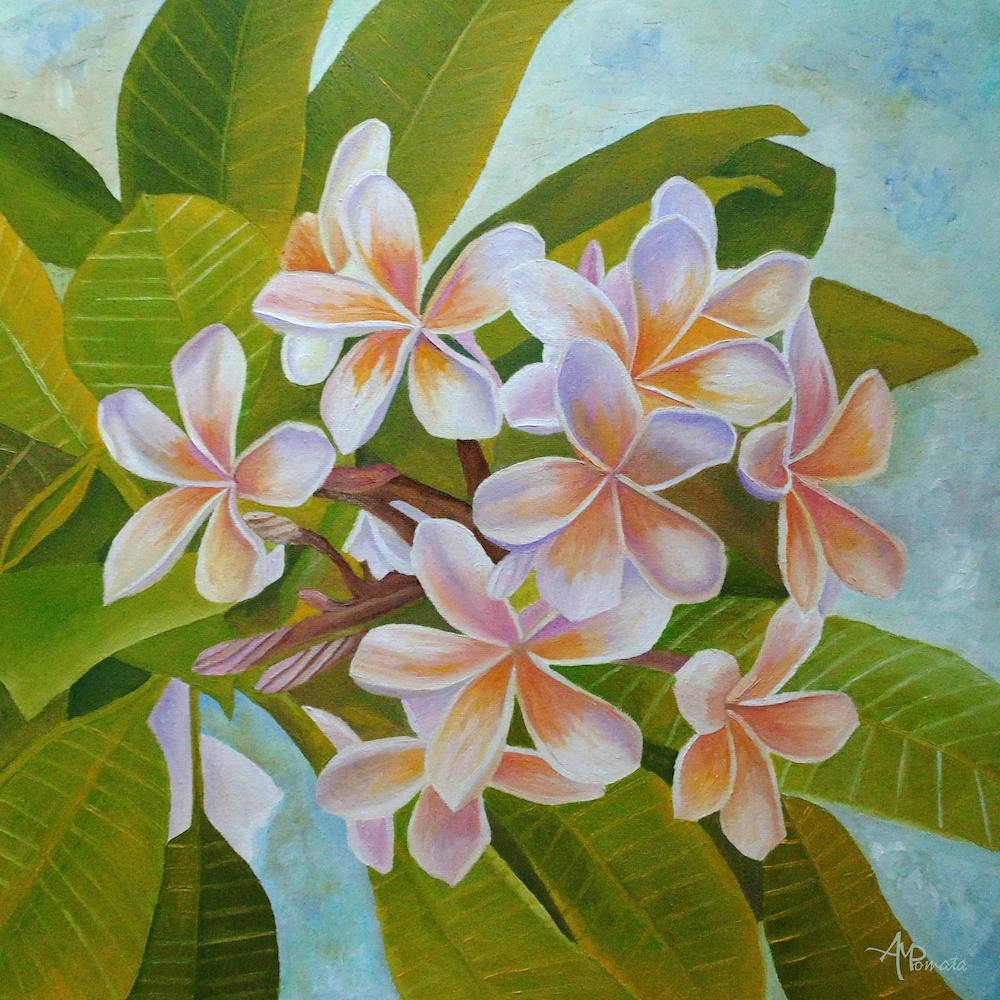 Plumeria Square