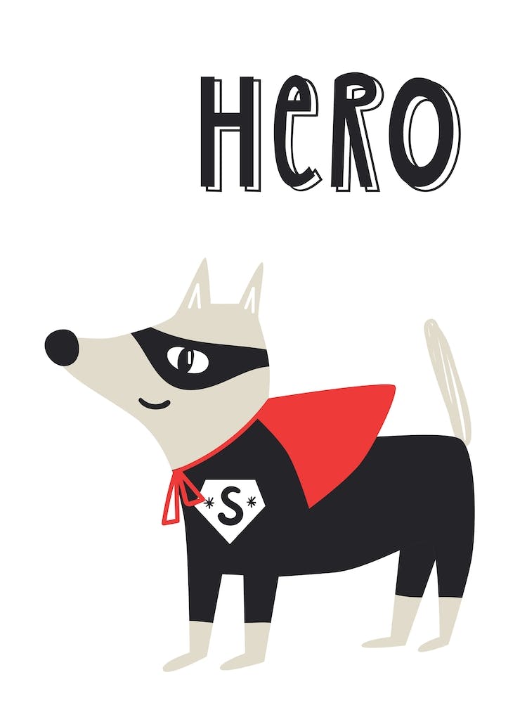 Held Superhund