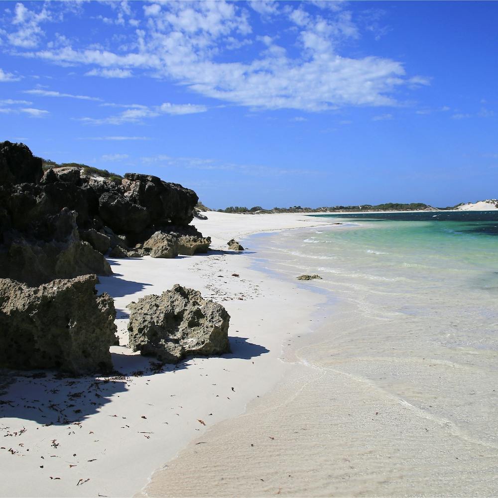 Sandy Cape white beach