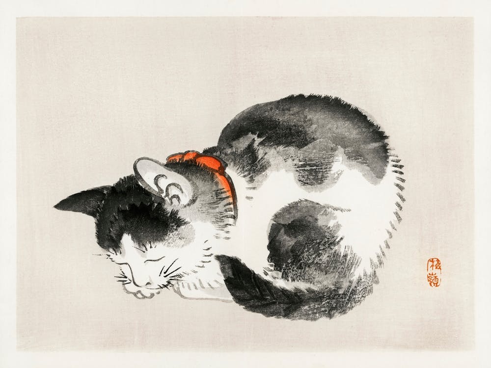 Sleeping Cat, Kōno Bairei