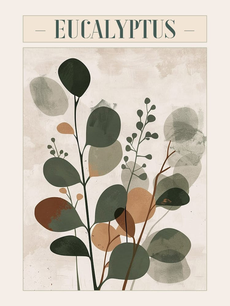 Eucalyptus Tree Minimal Japandi Illustration 4 Poster