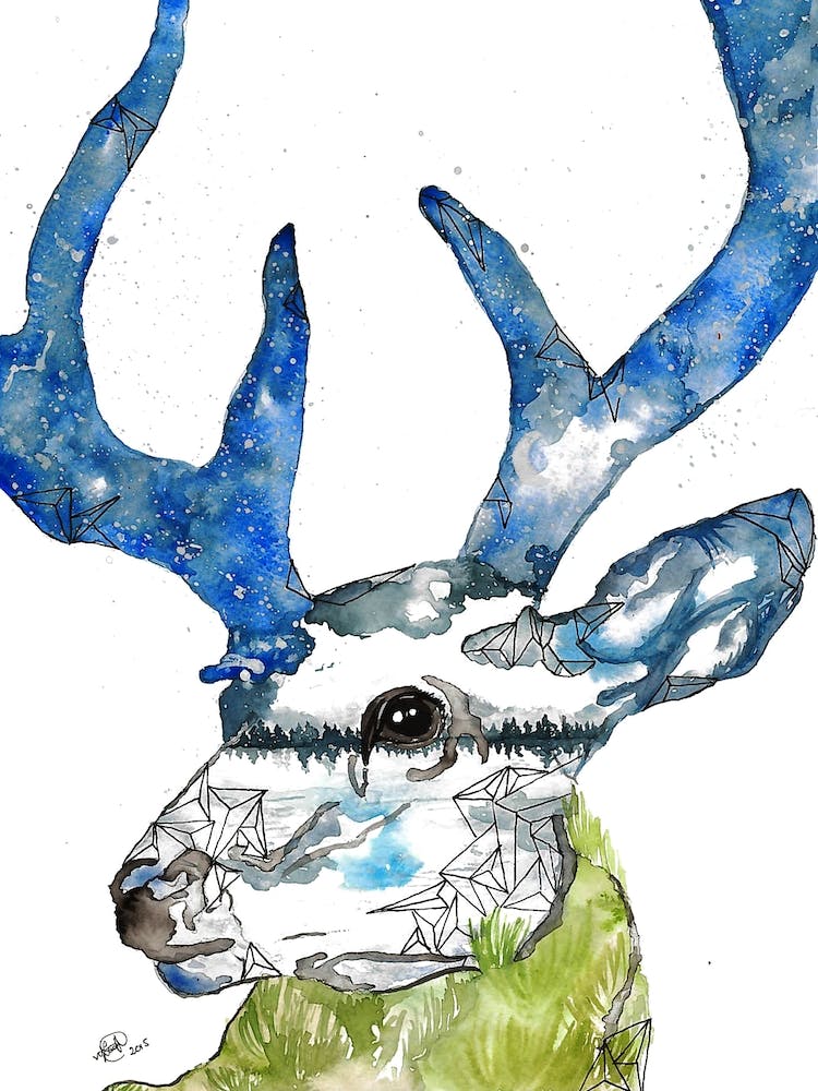 Deer II