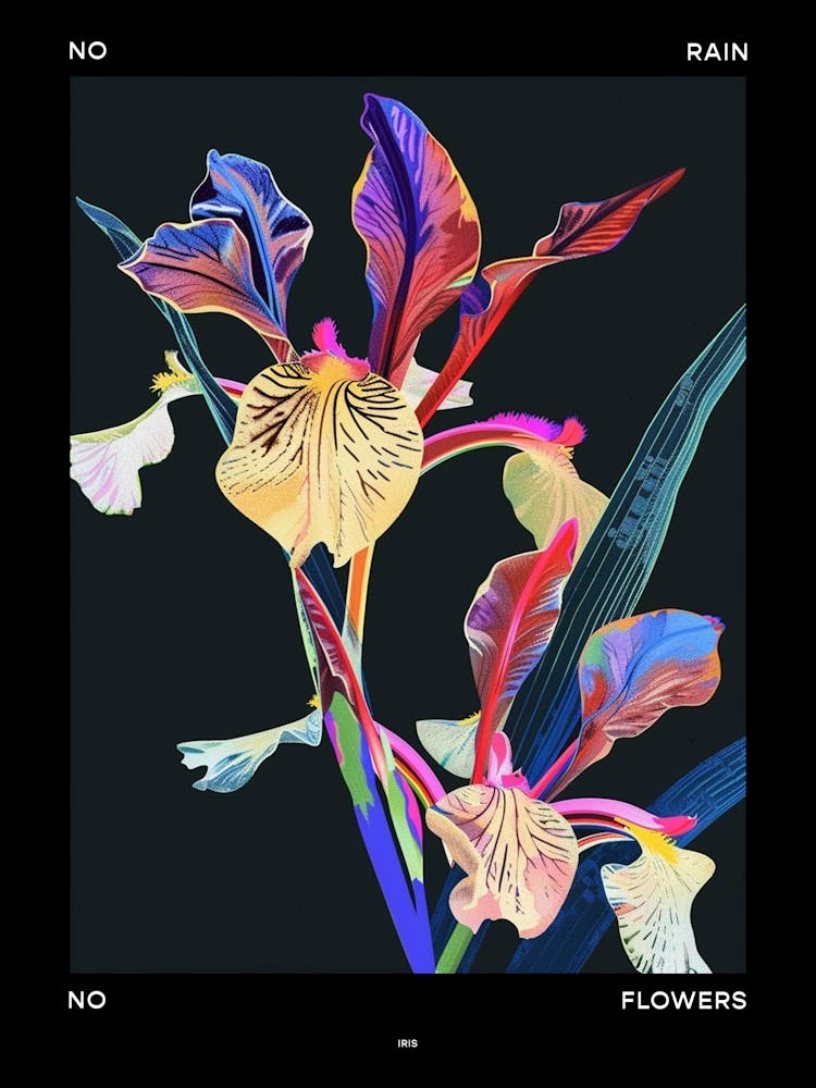 No Rain No Flowers Poster Iris 4