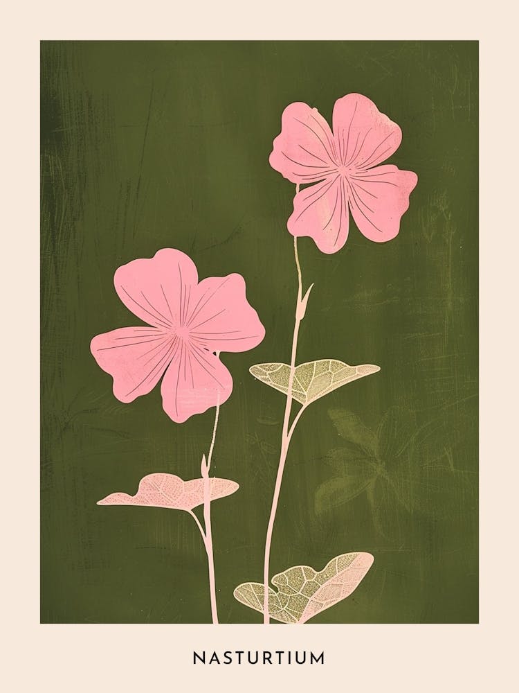 Pink & Green Nasturtium 2 Flower Poster