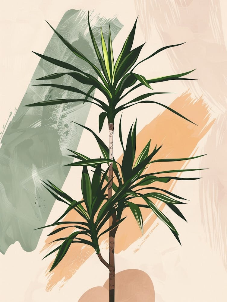 Dracaena Plant Minimalist Illustration 4