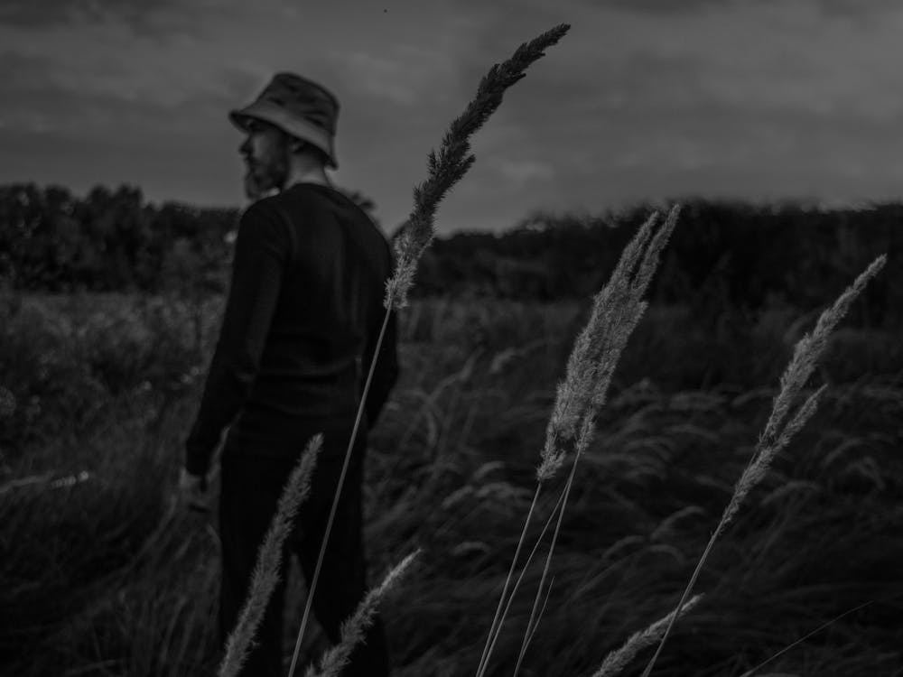 A Man In A Field With Spikelets Against The Background Of The Forest