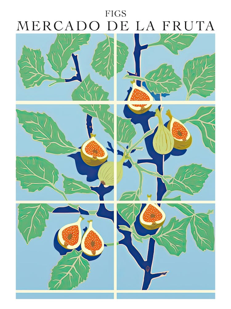 Mercado De La Fruta Figs Illustration 4 Poster