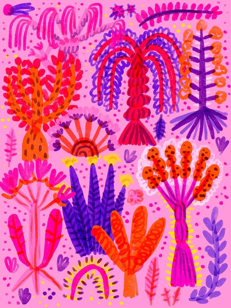 Silvana The Pink Forest