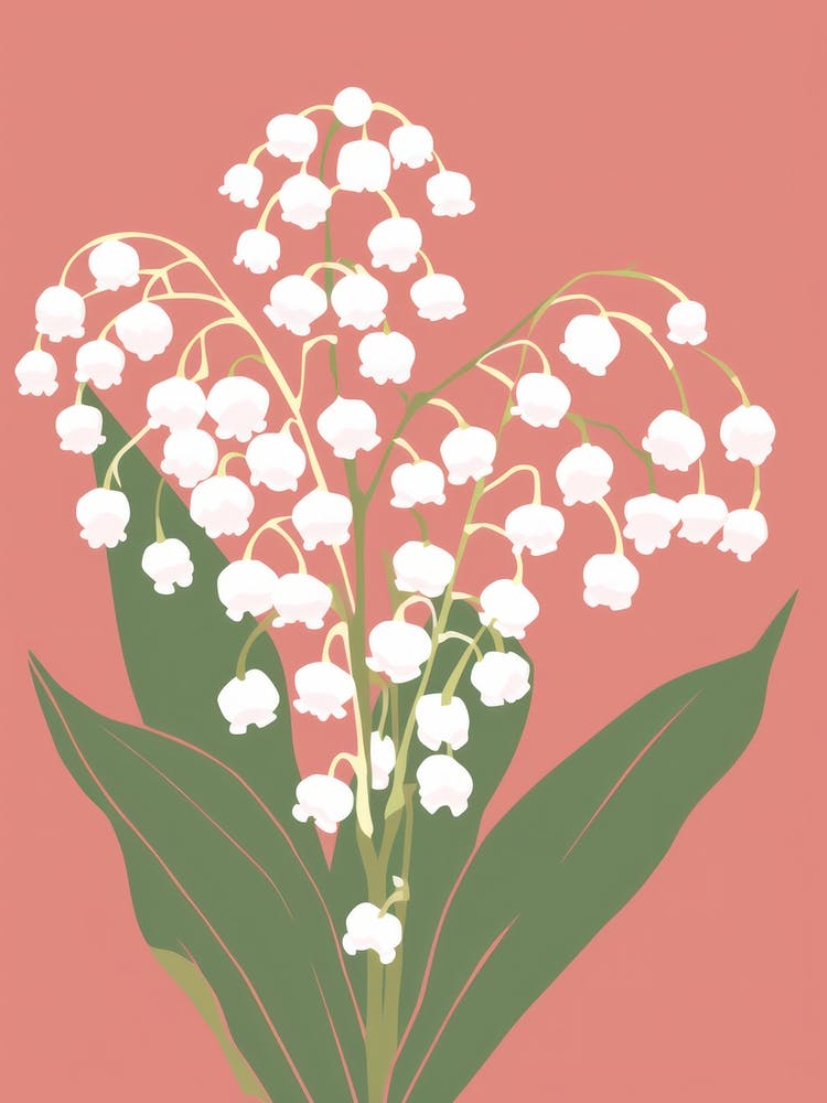 Lilies Of The Valley Flower Big Bold Illustration 4