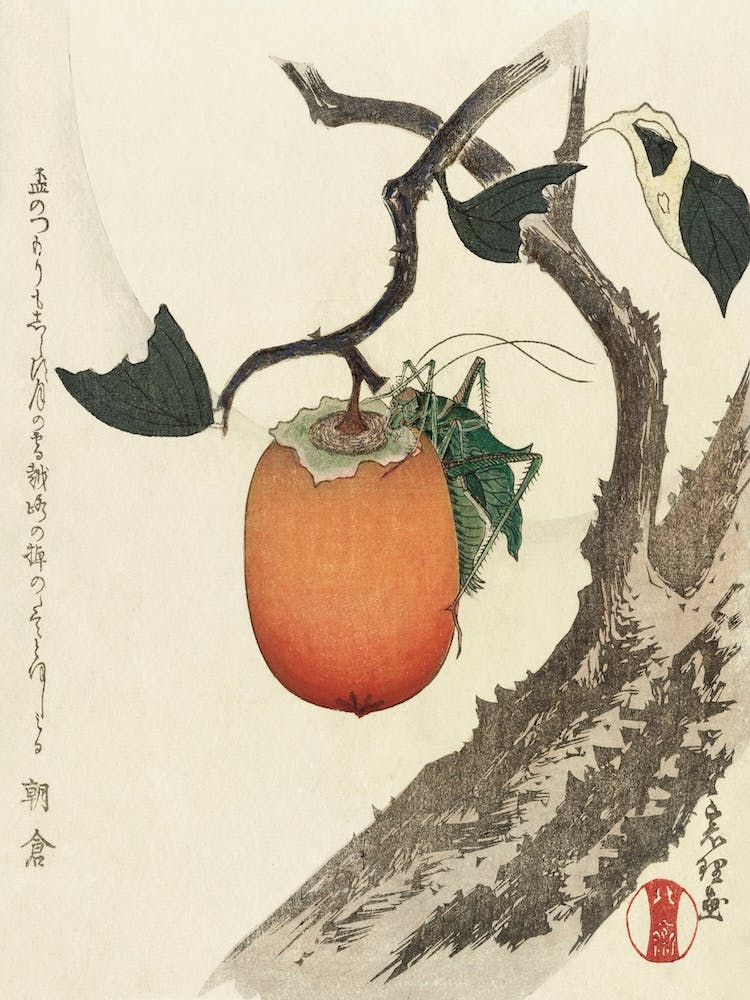 Kakivrucht Met Sprinkhaan, Katsushika Hokusai