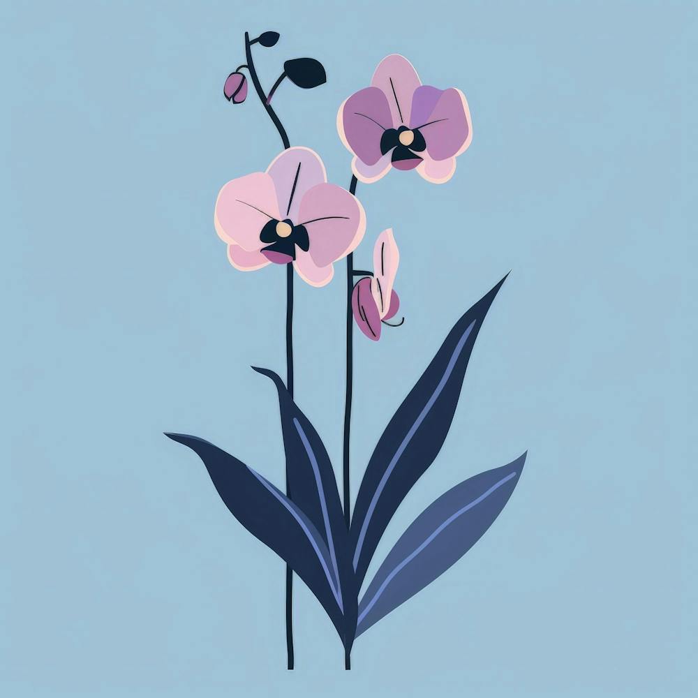 Orchids 2