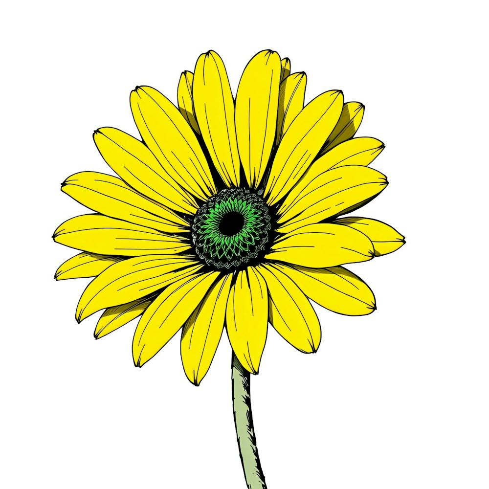 Gelbe Gänseblume 5