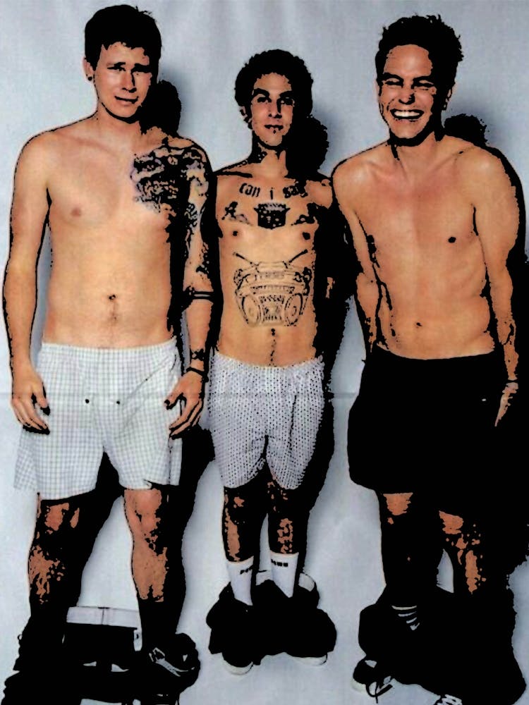 Blink 182 5